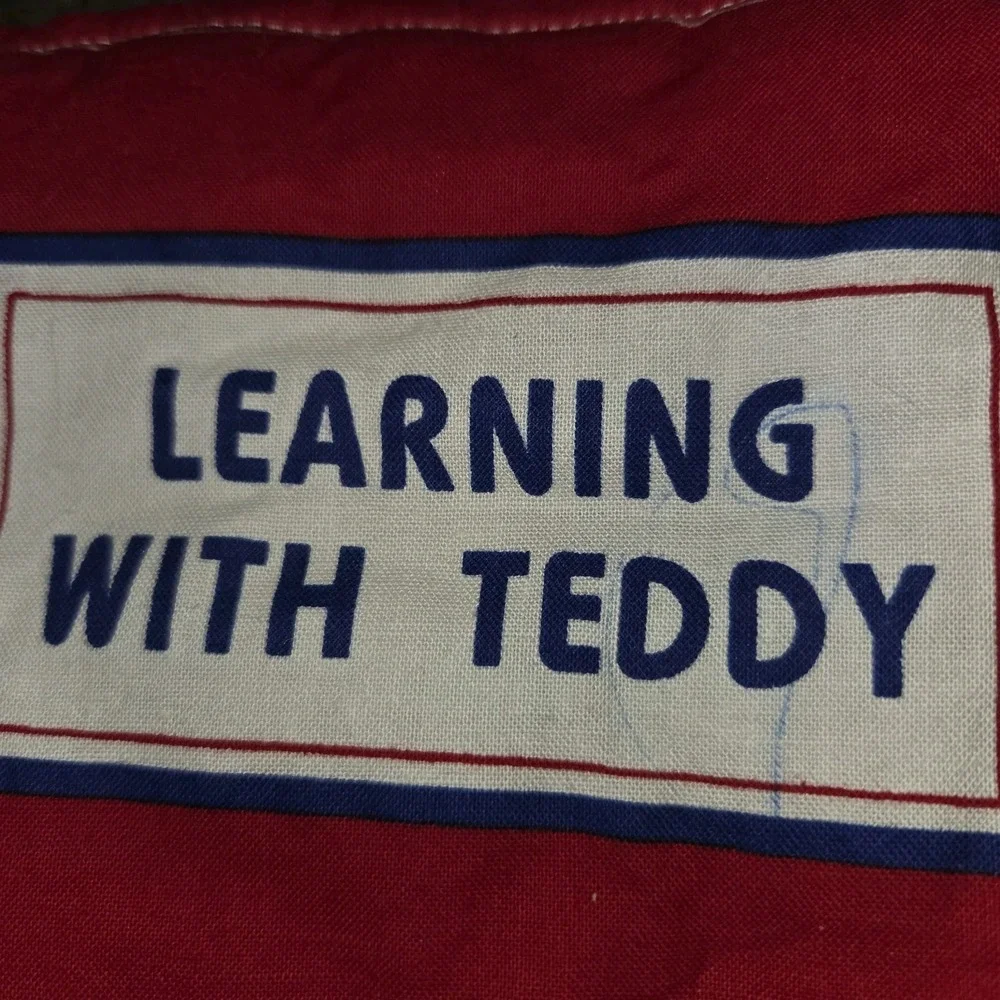 3 VTG fabric childrens books Learning w/Teddy DEXTER the DINOSAUR Solar System